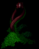 _VNC