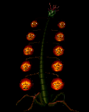 �d���U�b�N�[��