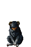 א_gEec