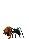 d~RI