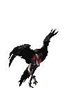 SXgQX
